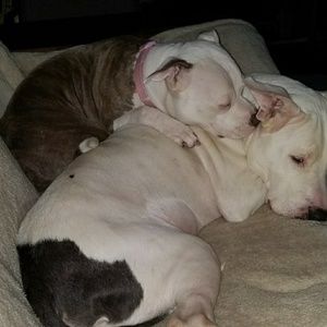 Meet your Posher, Kara